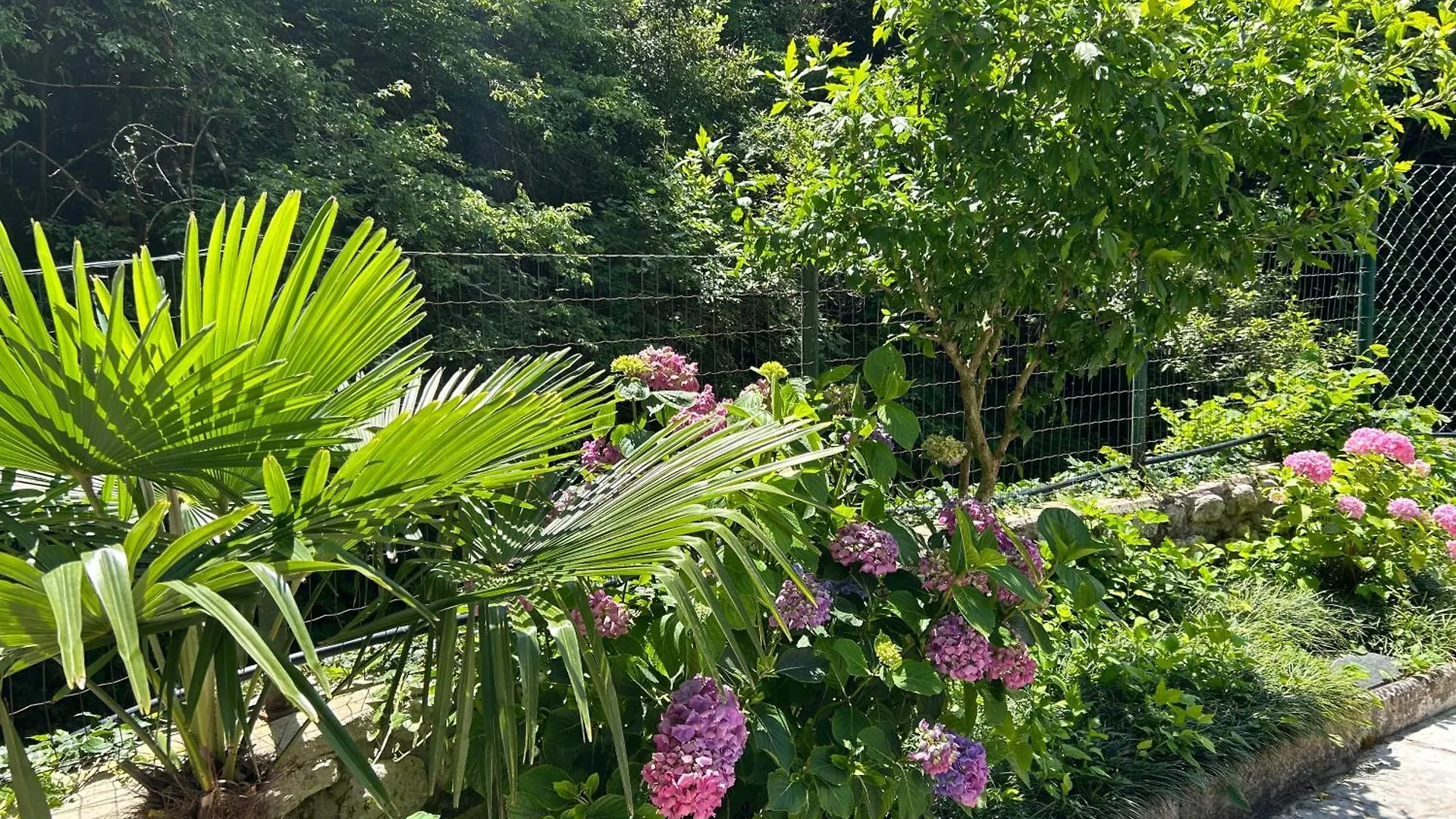 Holiday home Haus Karin Villa Lovran Croatia